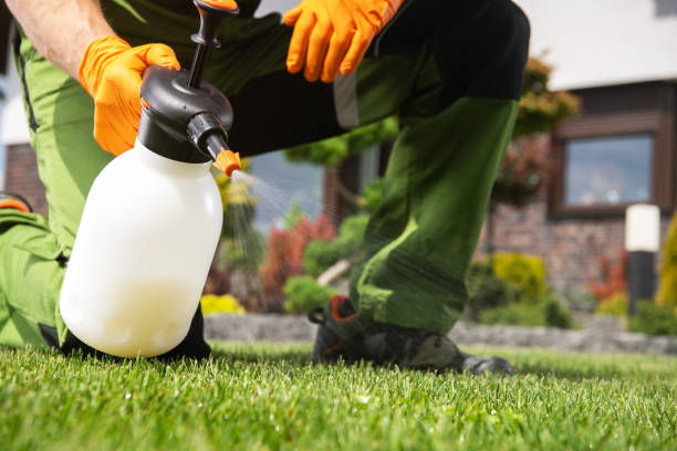 Best Affordable Pest Control Services  in Twin Lakes, NM